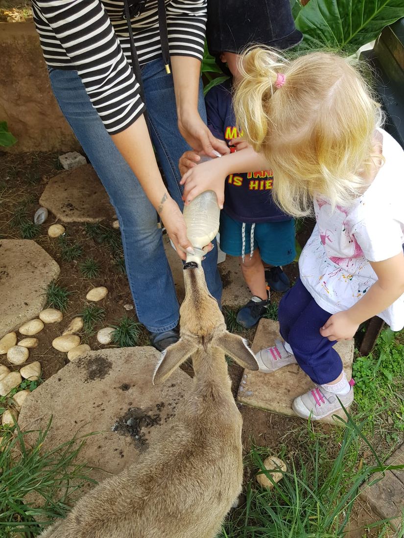 Several children and adults crouching together in a garden to bottle-feed a lamb